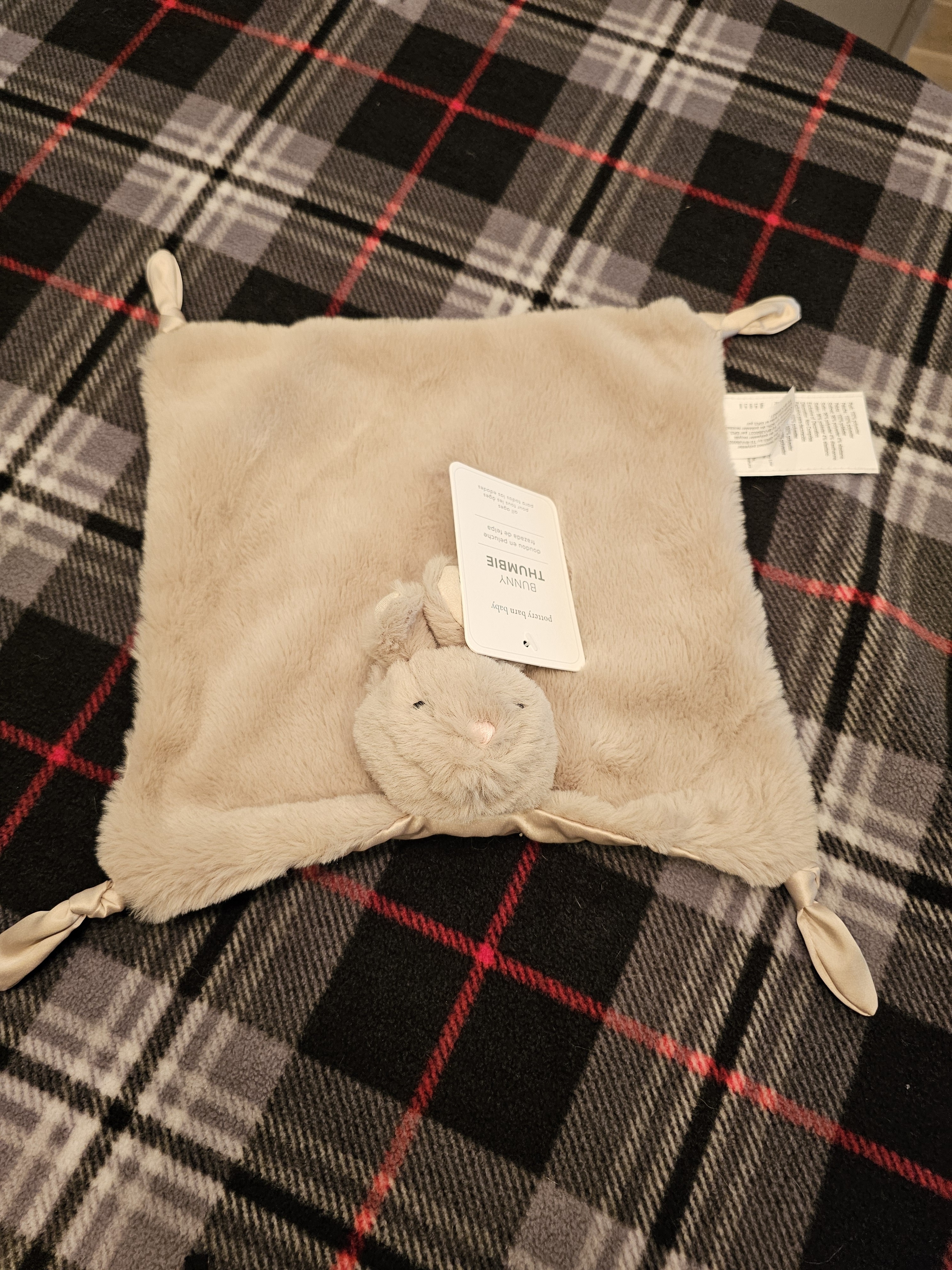 Pottery Barn Kids Bunny Thumbie. Nwt — image 7 of 7